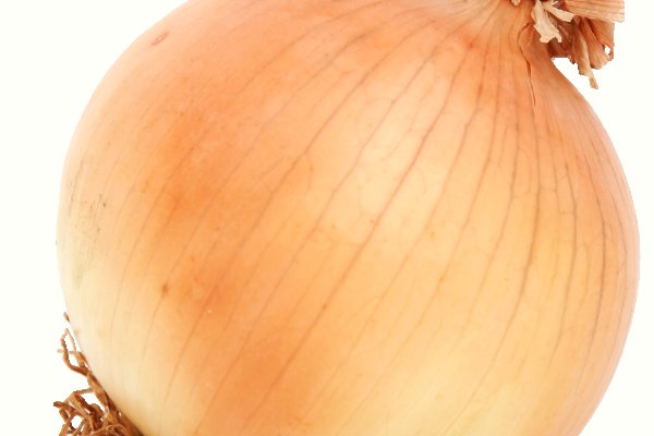 Модератор на кракене