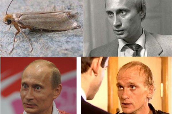 Кракен сайт что будет если зайти