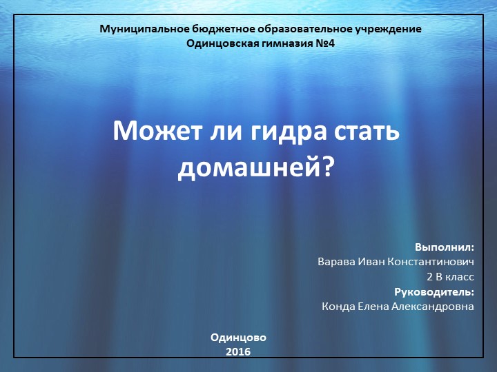 Маркет плейс кракен маркетплейс