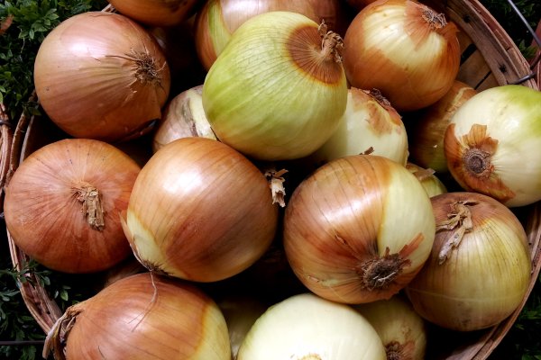 Kraken рабочая ссылка onion