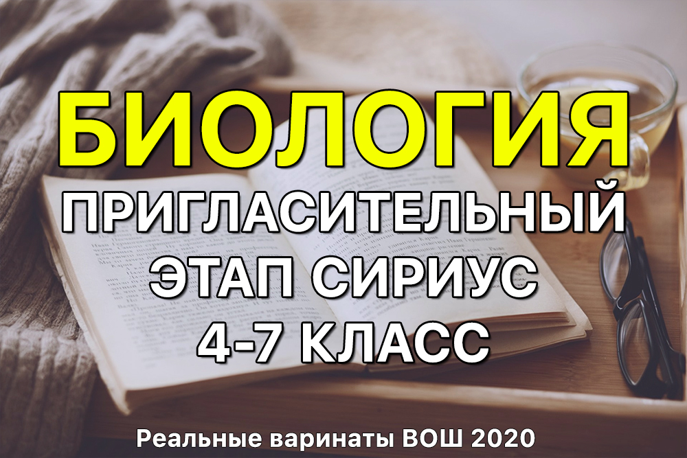 Кракен шоп даркнет